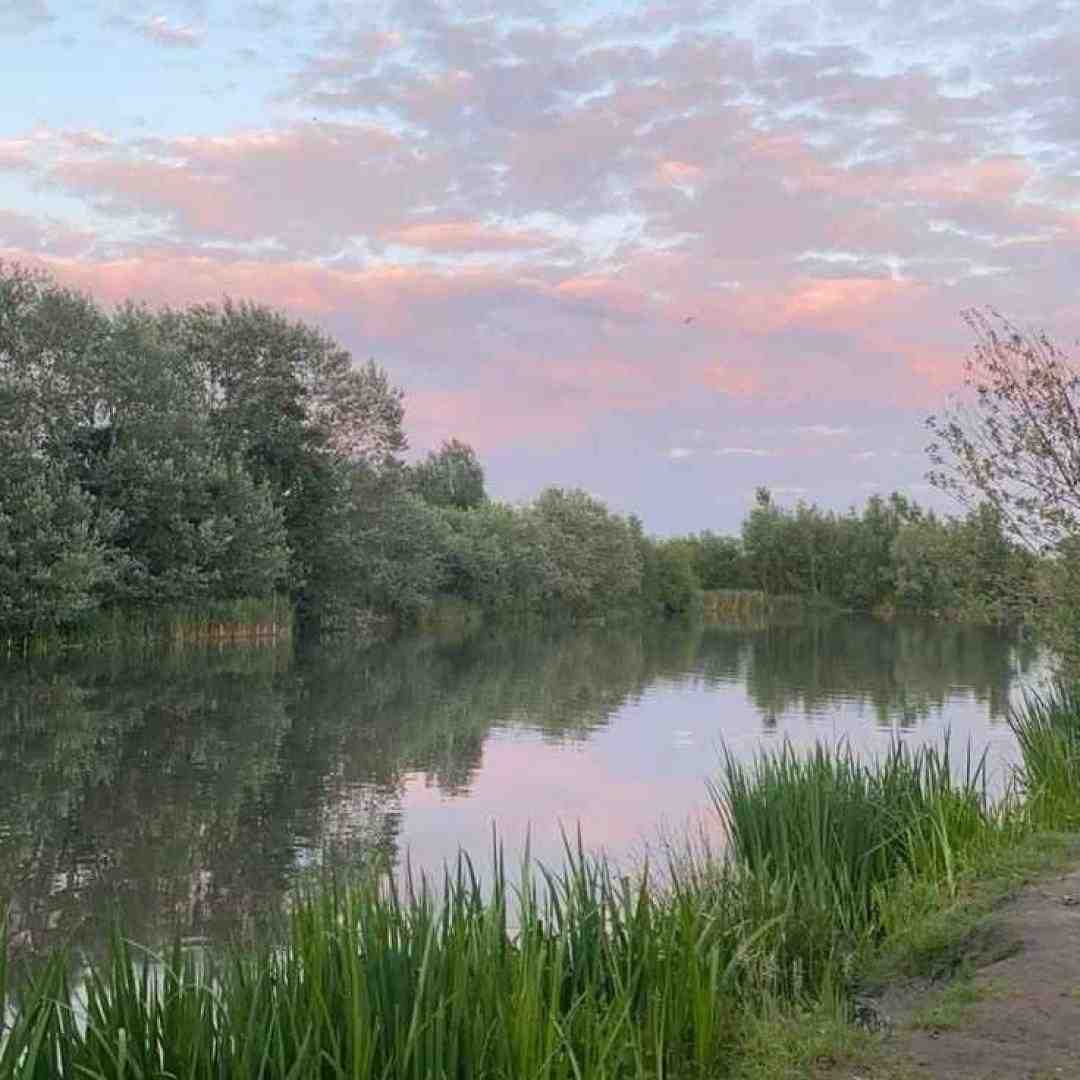  مگه نمیدونی درگیر عاشقی ام بد میکردی حالمو