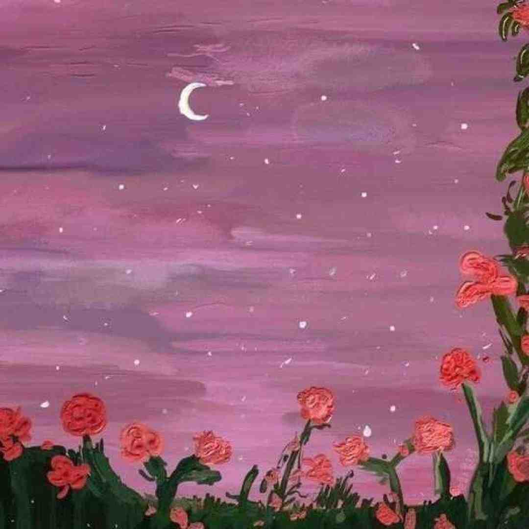 دیارا یار عزیزوم بی مو جر کرده