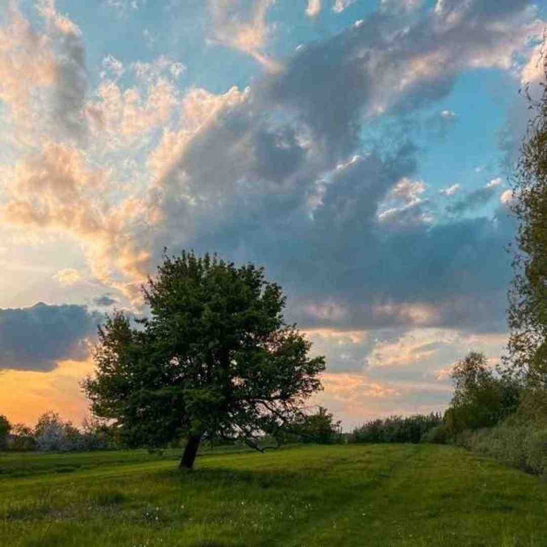  همین تایما بود پارسال پیشم بودی