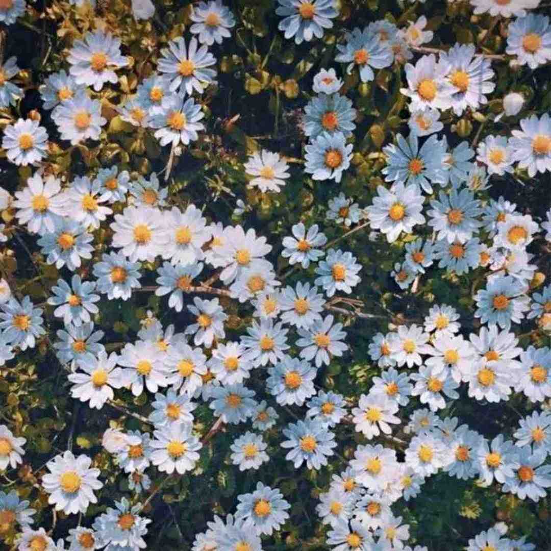  خسته یم و ای روزگار همه با هم غریبن