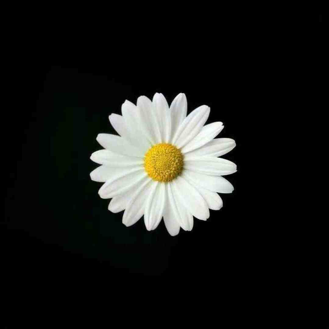  کاشکی برگرده اونی که عاشقم کرده اونی با صدای بچه