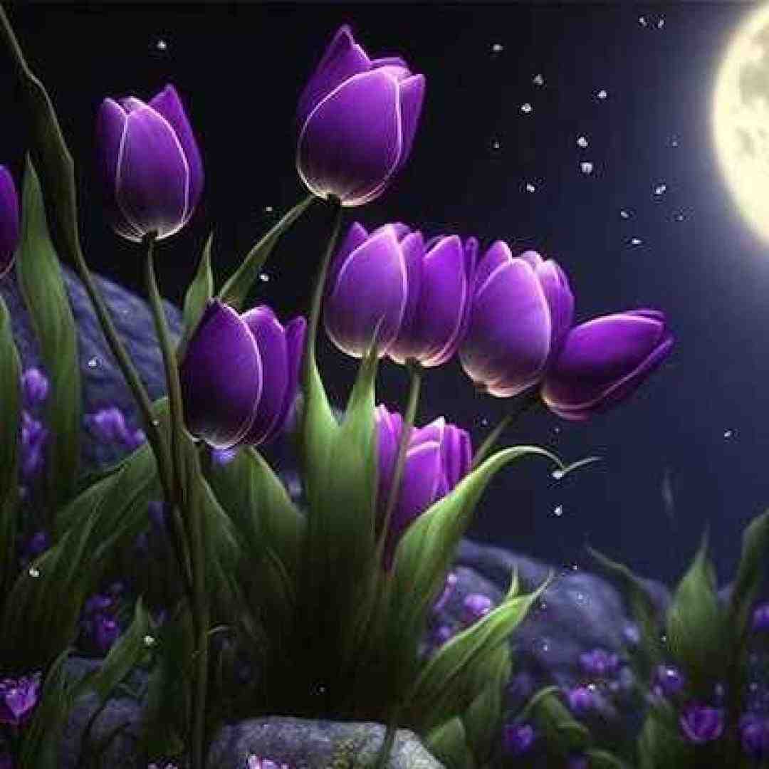  عشق واسه من یه معجزه است (ورژن خارجی اینستاگرامی)