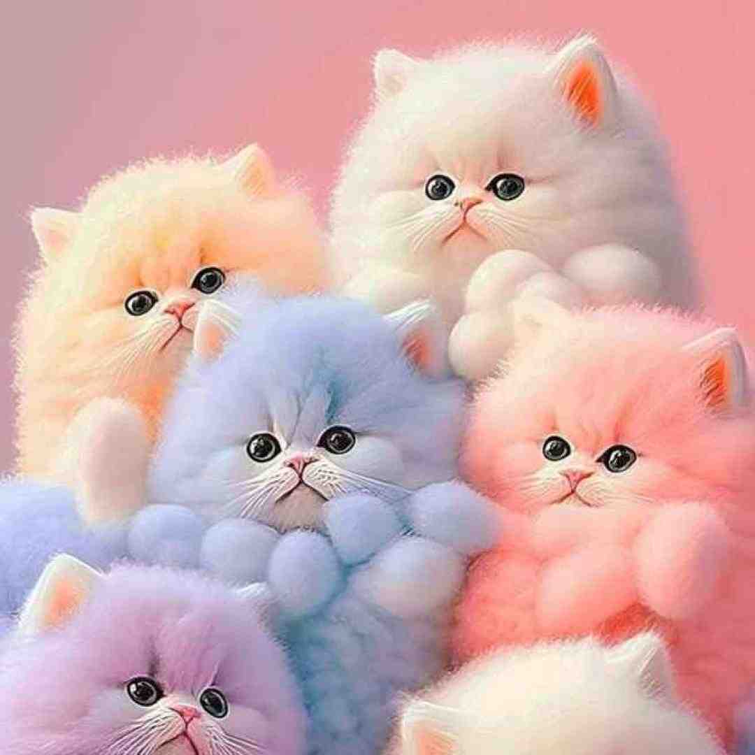  نفس نفس به یادتم من کار دله با صدای پسر اینستاگرامی