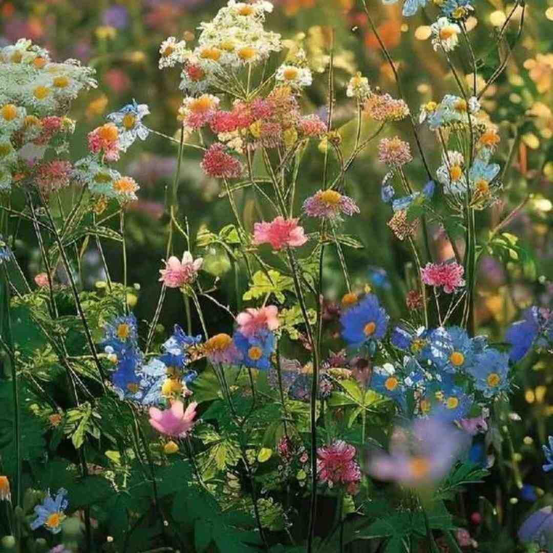  تو تو تو تو اکسی‌ توسینمی