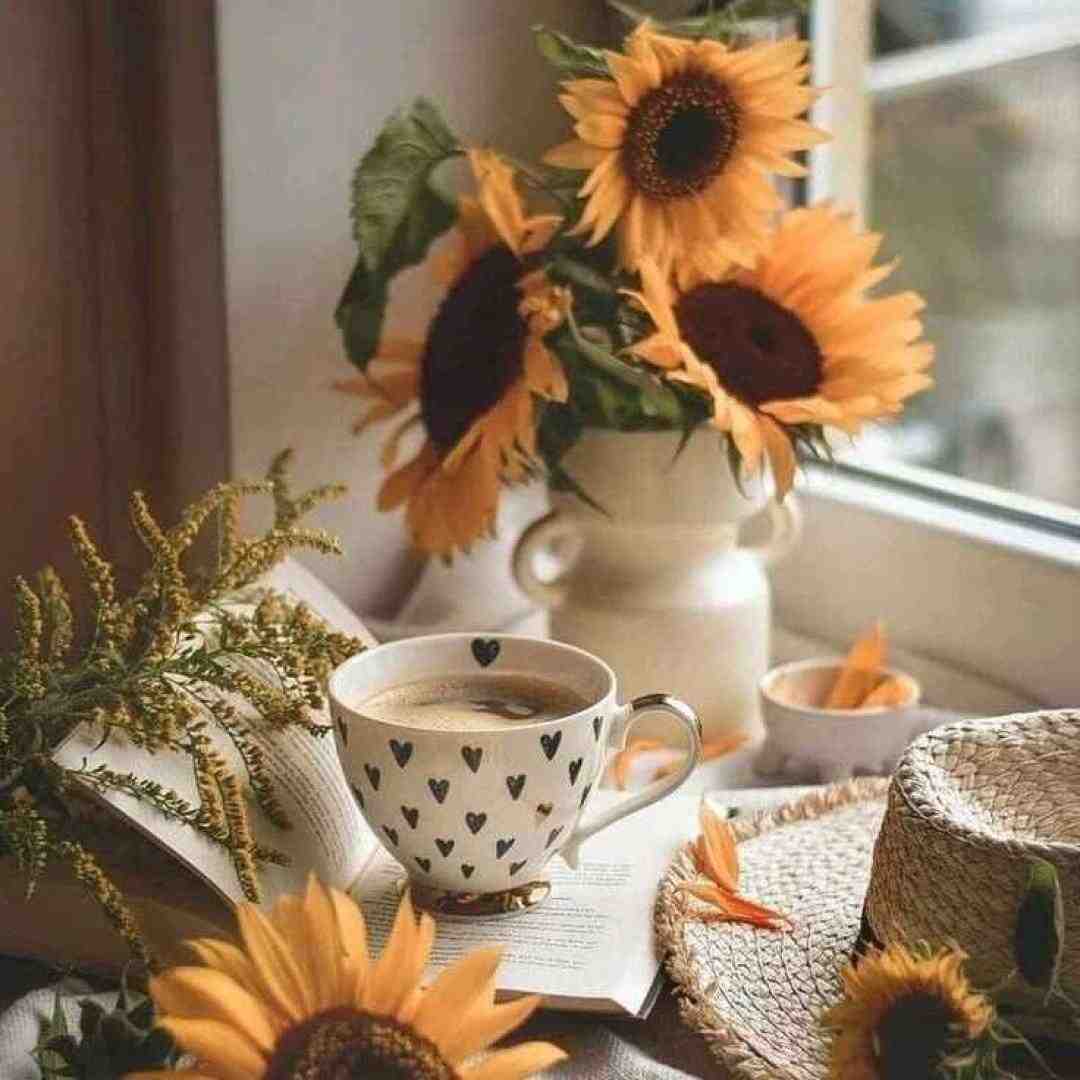 بت دادم گل و سوزوندی بت دادم گل و نموندی