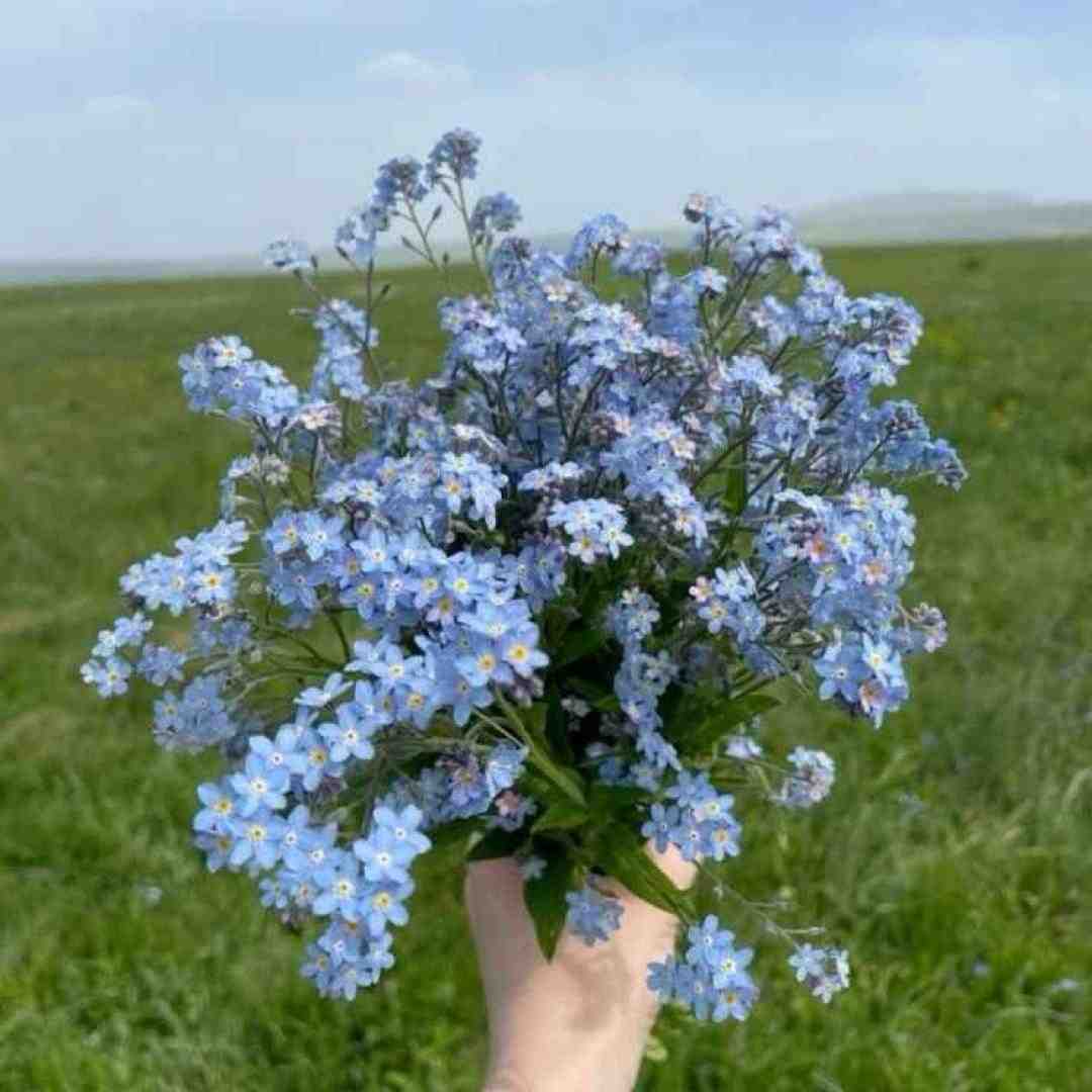  دلم میخوادت چون هر کی عاشقت شده یه ردی داده