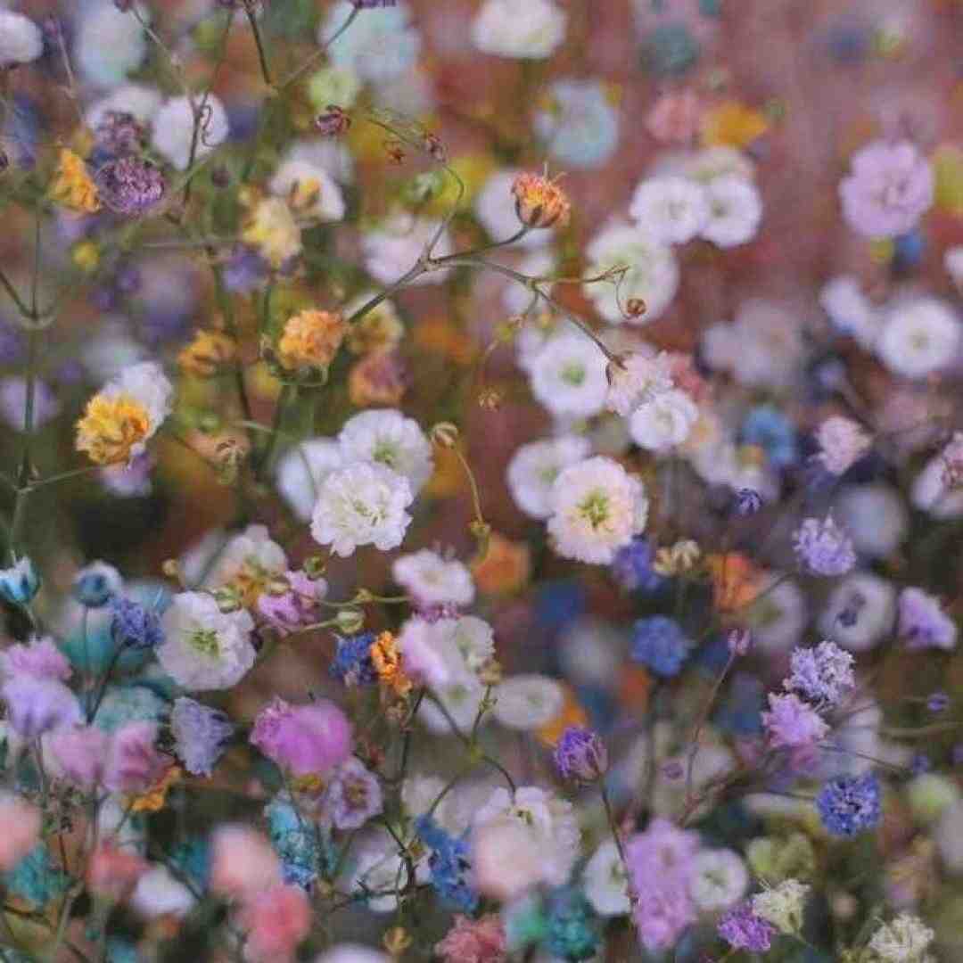  مخو سوراخ میکنه حفاری عوضی مغز منه