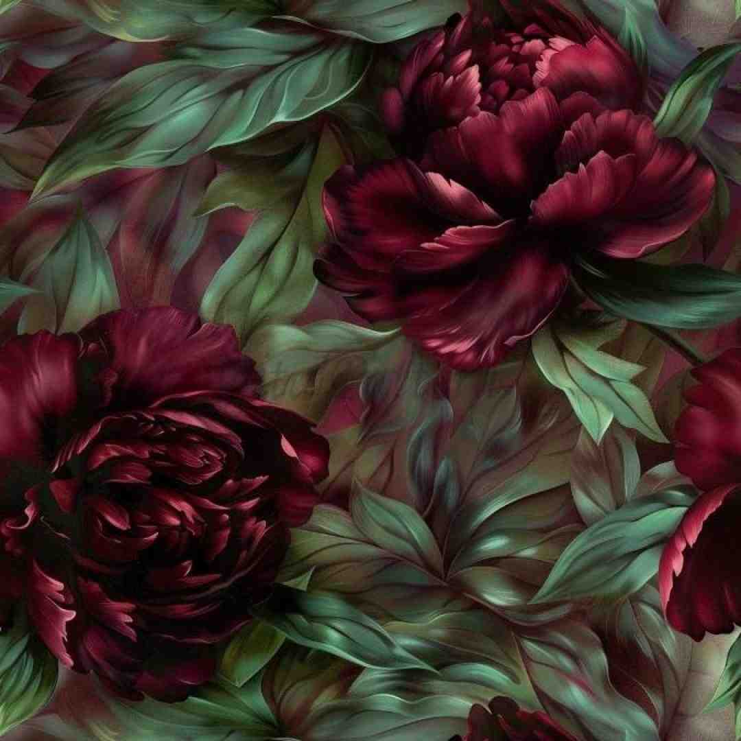  برو بچه پررو کم بیا چشم و ابرو