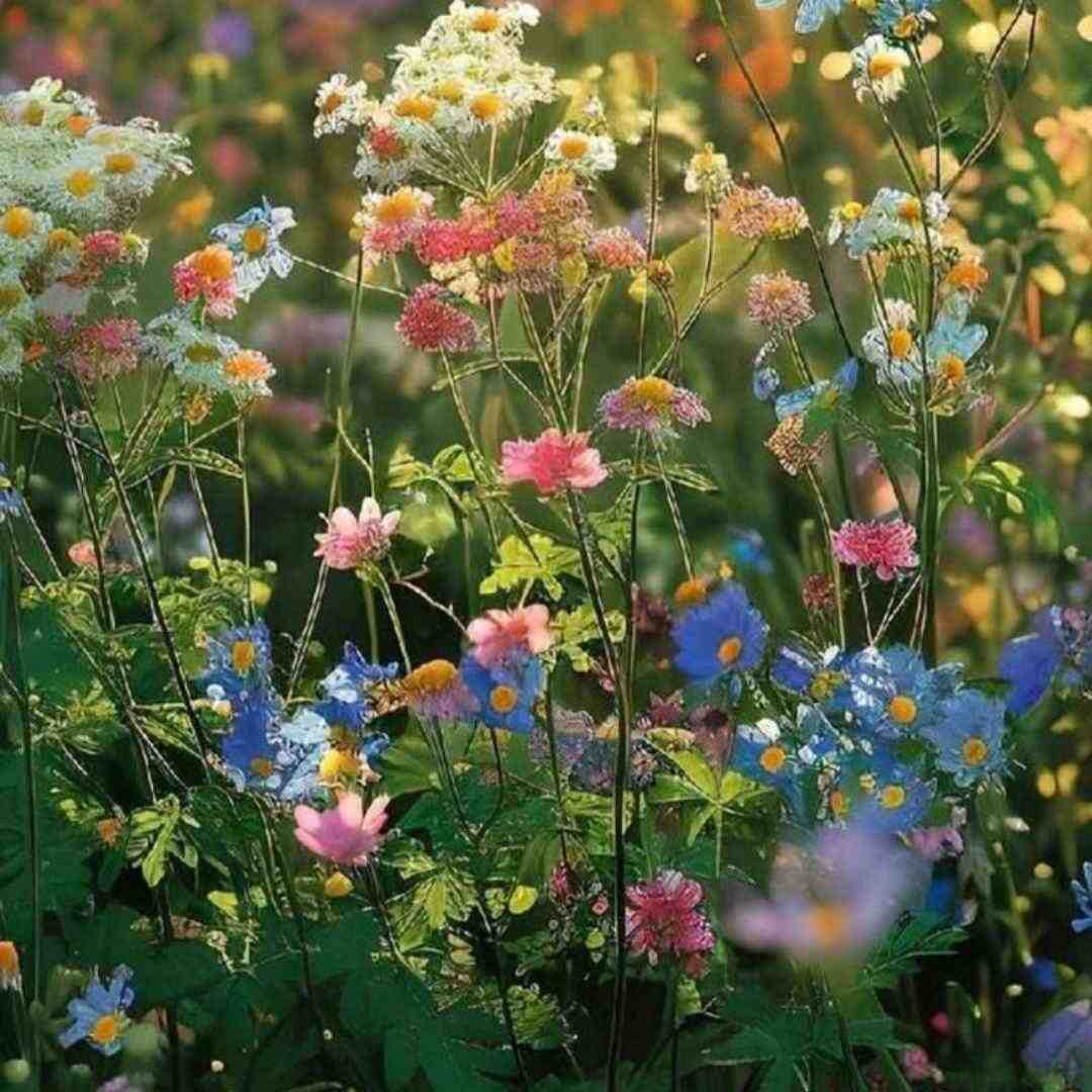  ای خالق هر قصه من این منو این تو بر ساز دلم زخمه بزن صدای زن