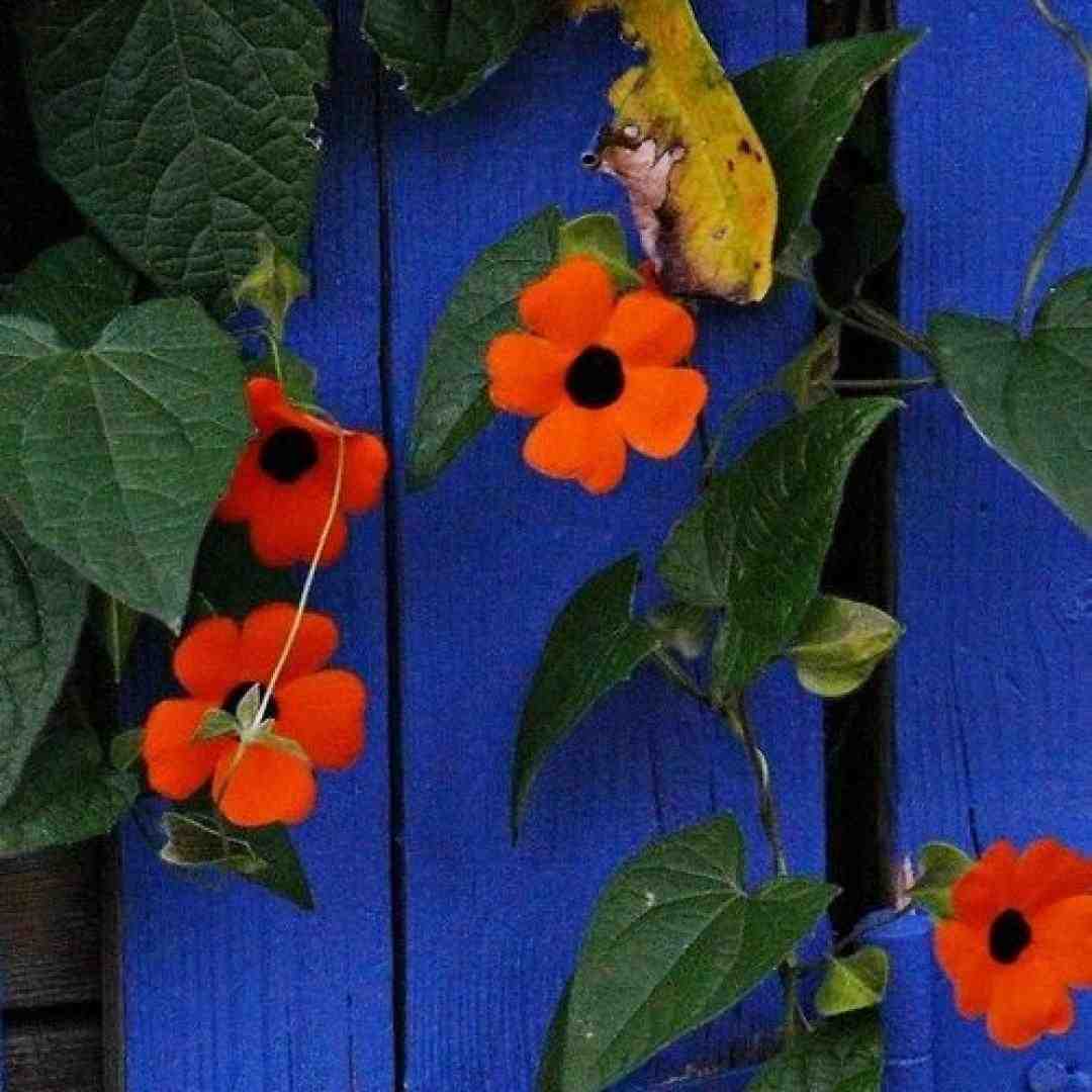 حالا ببین نام من از نامت جدا شد گیتار صدای پسر اینستا
