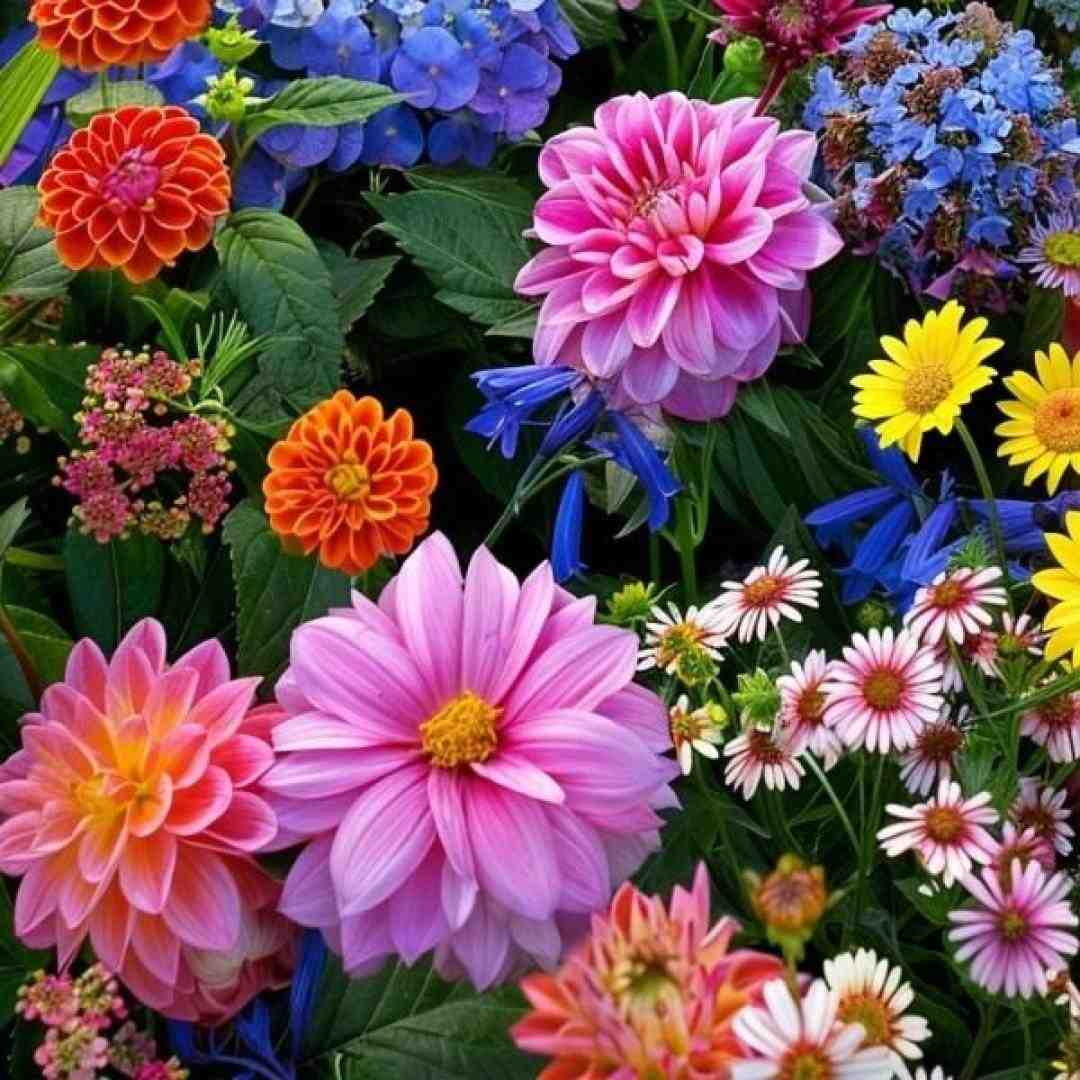  مگه چی داره آخه من ندارم قربونت برم