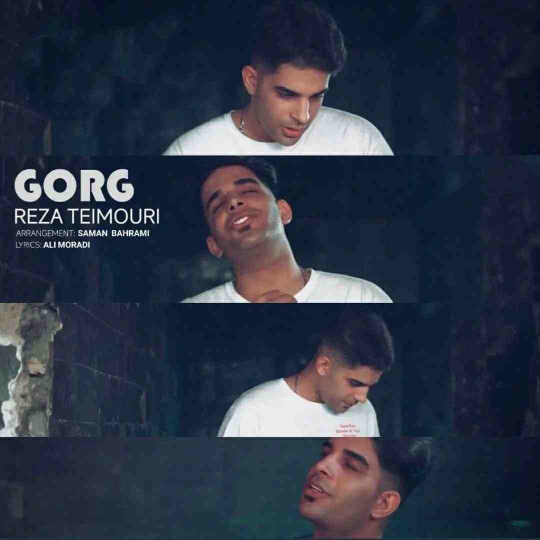 رضا تیموری گرگ