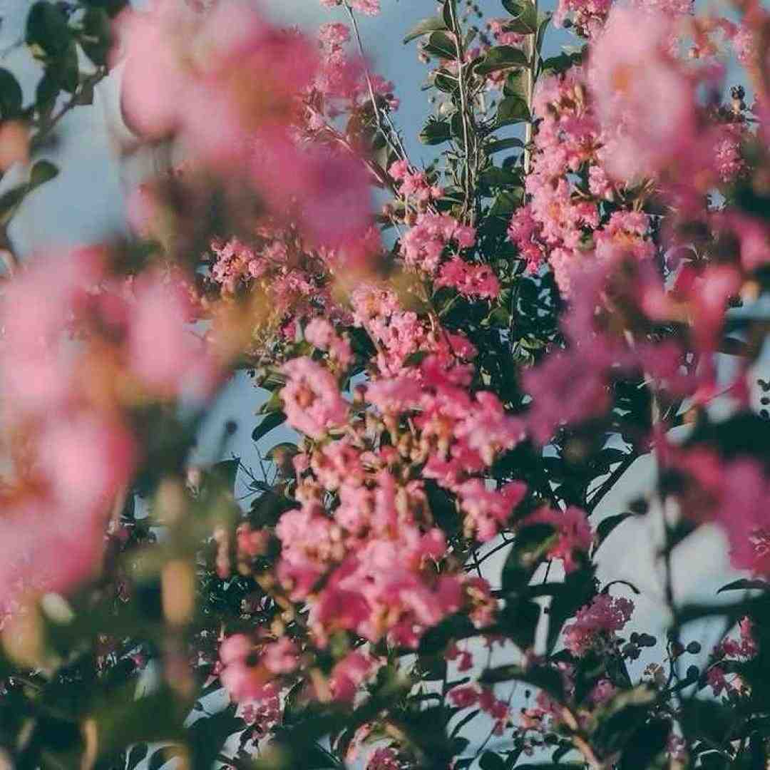  یعنی نفس بی تو به من حرومه لعنتی