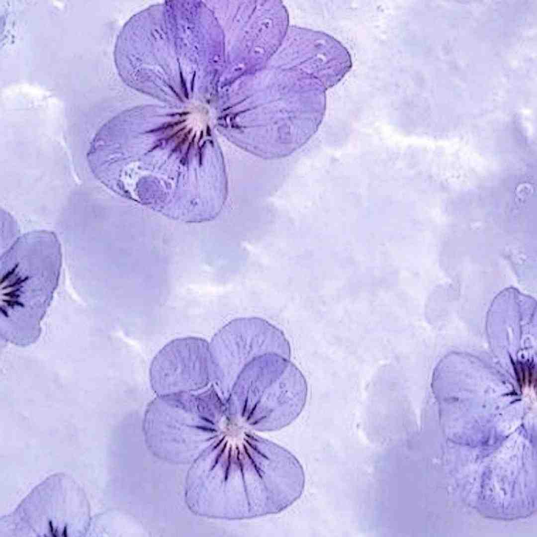  کاش بود یه راهی واسه برگشت میزدم بازم باهات من