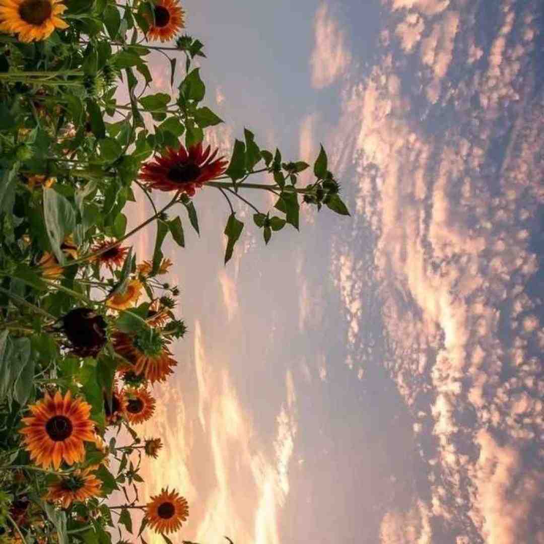  یه جوری جورم با دلت دیگه منو تو نداره با صدای بچه