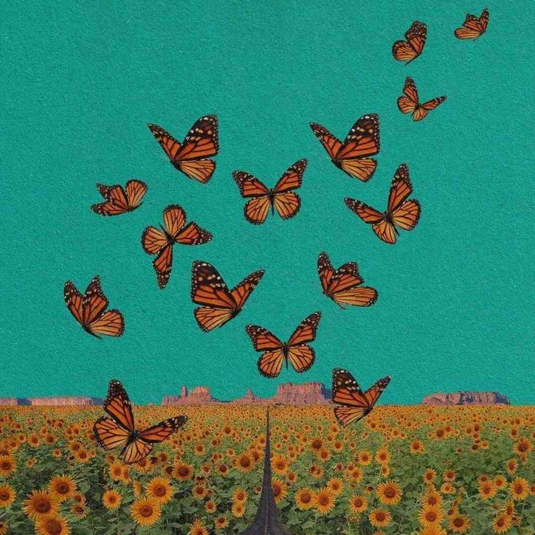  باز بیا بگیر سمتم واسه تو از همه کندم