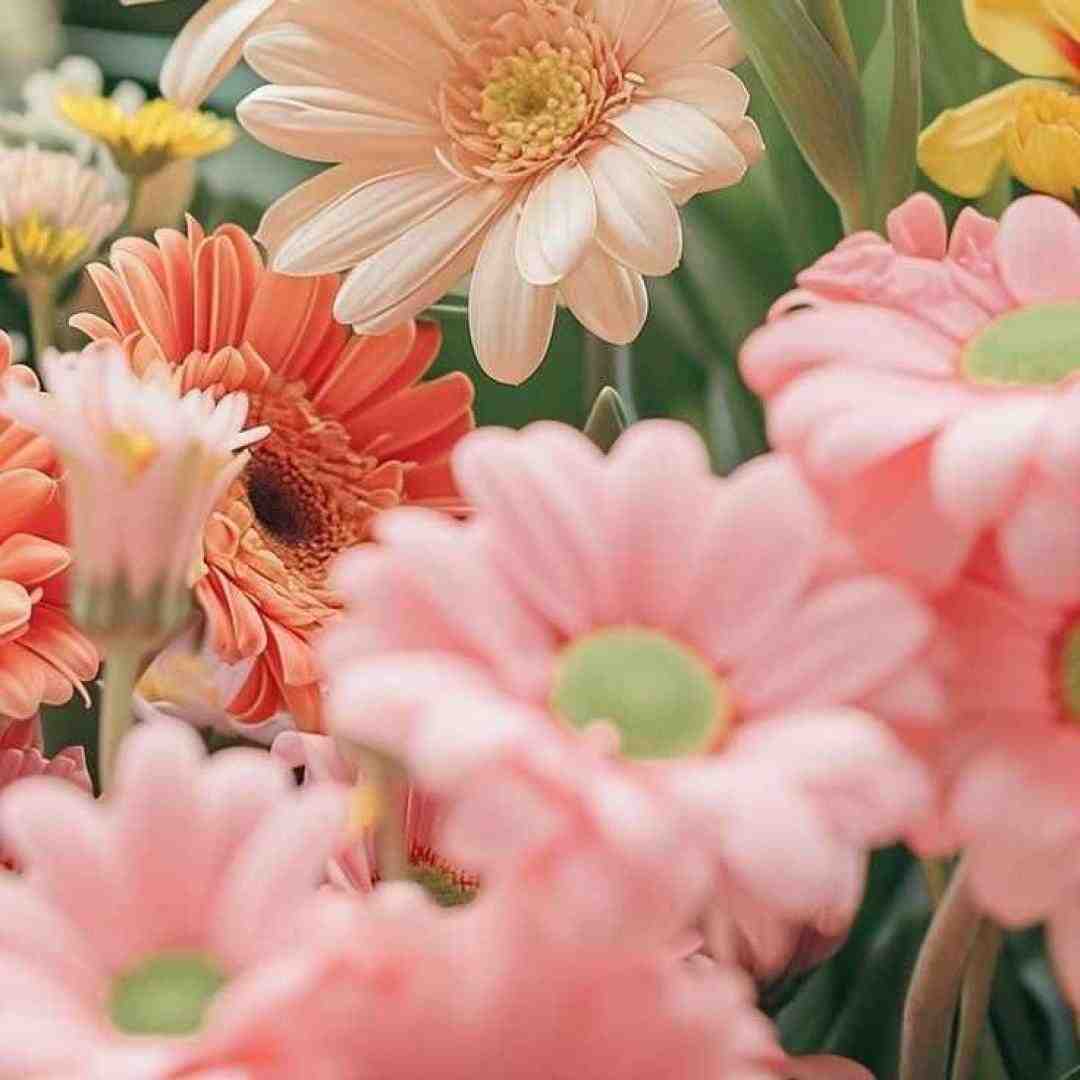  یه نرمیشه ترکی مو قرض ایکنم با صدای پسر اینستایی