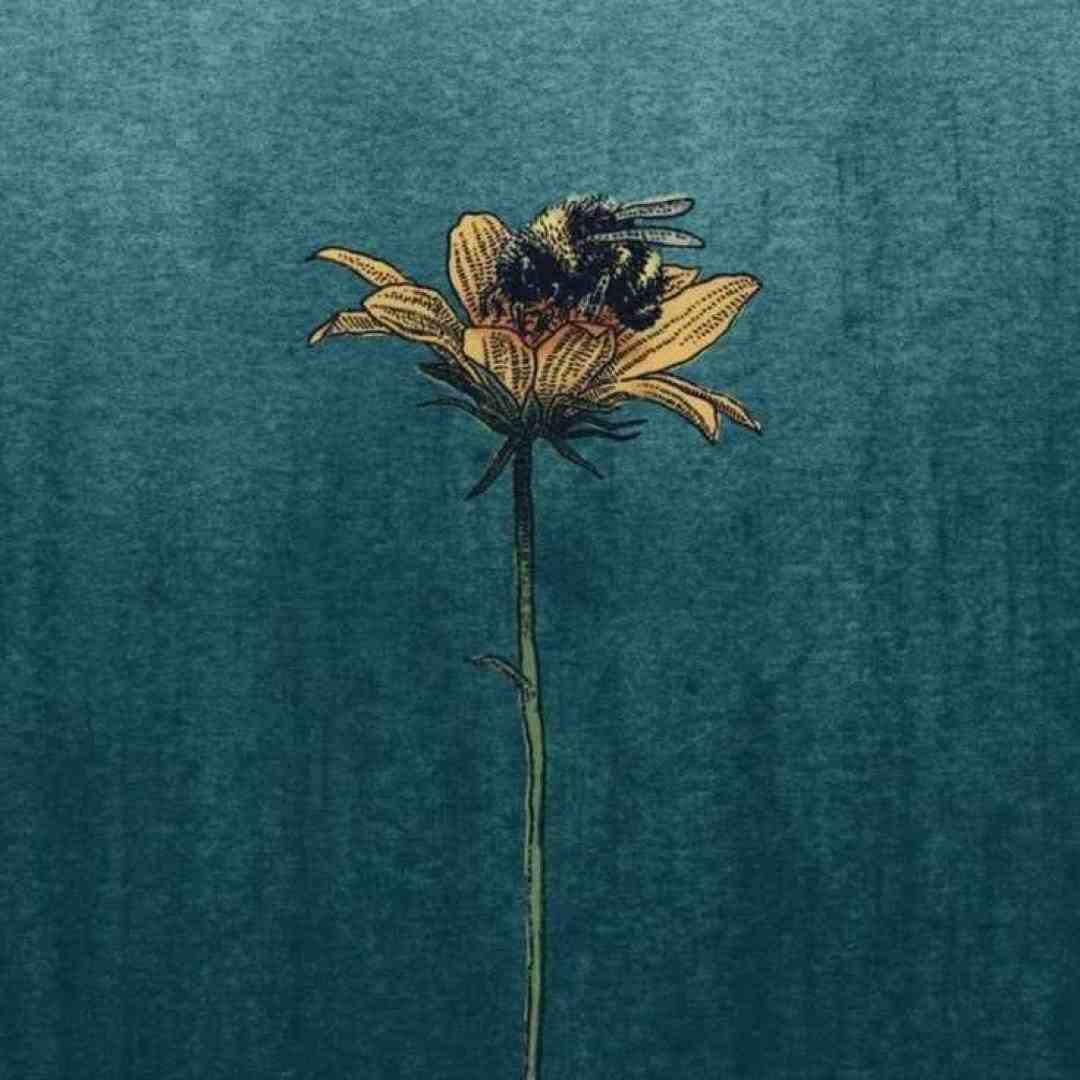 وای اگر آنچه شنیدم راست باشد چه کنم با صدای زن