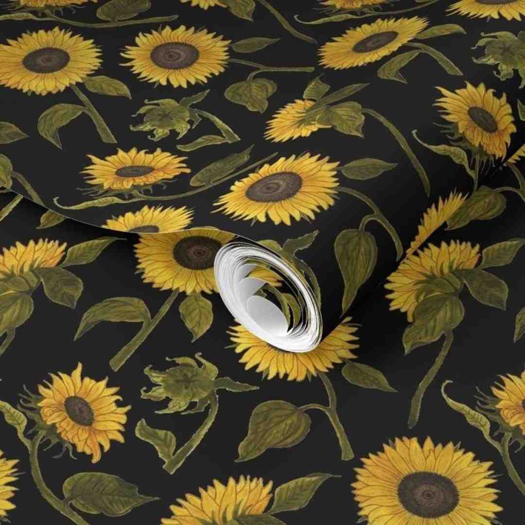  بر مزارم بنویسید به یک خط درشت با صدای زن