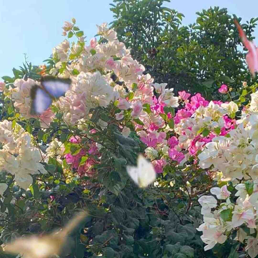  رفتیمان خواستگاری گفتن پرونده داری با صدای دختر
