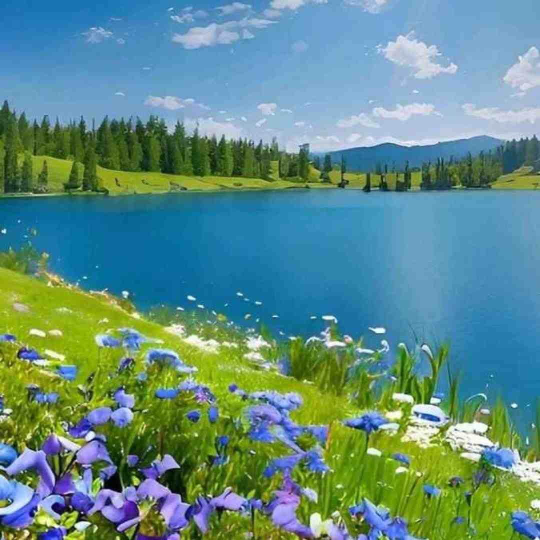  قلبمو که گفتم مال توعه دختر