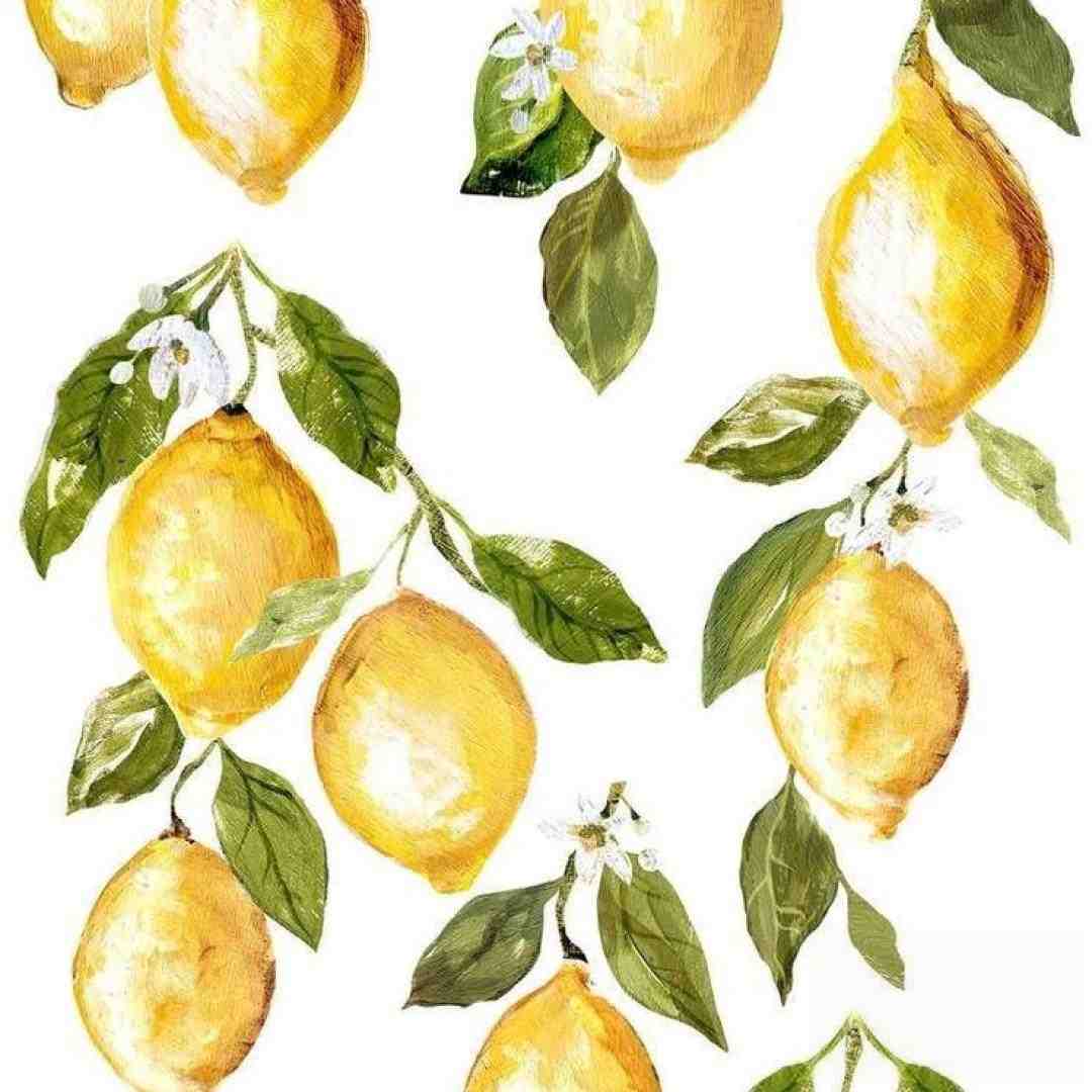  اگه بره مگه میشه یه تنگ نشه دلش