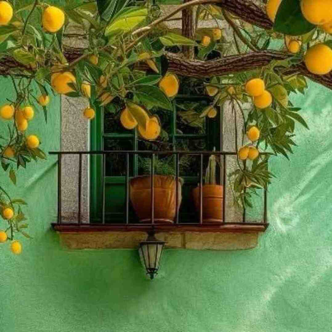  دوست دختر من نازه توی دخترا ممتازه
