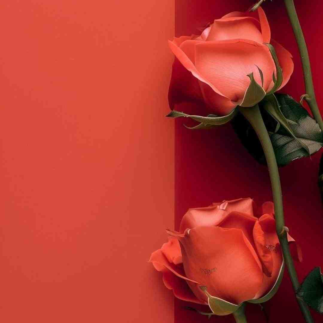  دوست دارم متنفرم از تو