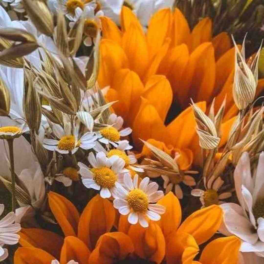 اینجا عطر جوونیمون بو سیگاره – صدای دختر