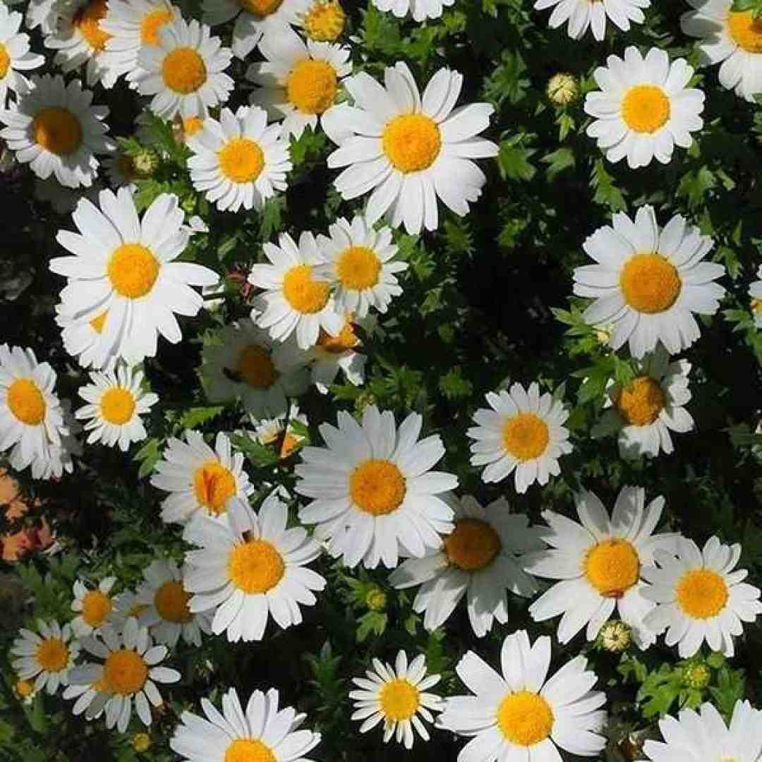  بین ما کلی خاطرس عکسا تو قاب عکس