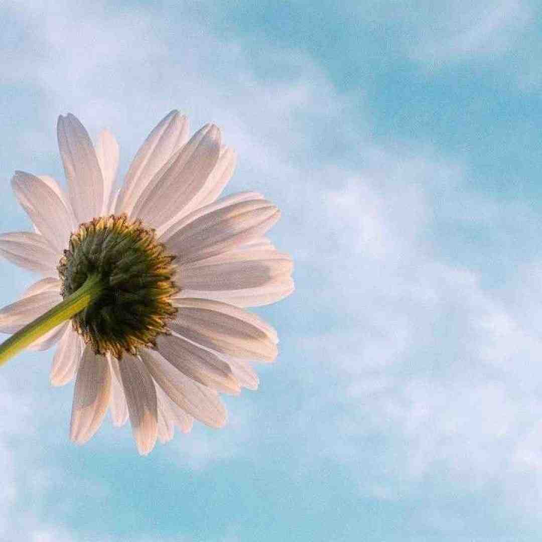  مثل اولاش تو عاشقم نباش – صدای دختر