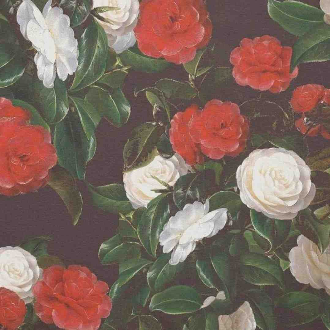 بغلم کن بغل کن روحمو که خستس – صدای زن