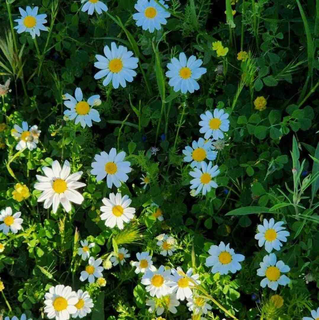  بزار گوش کنم من حرفاتو الان بیا خواستی عوض کن