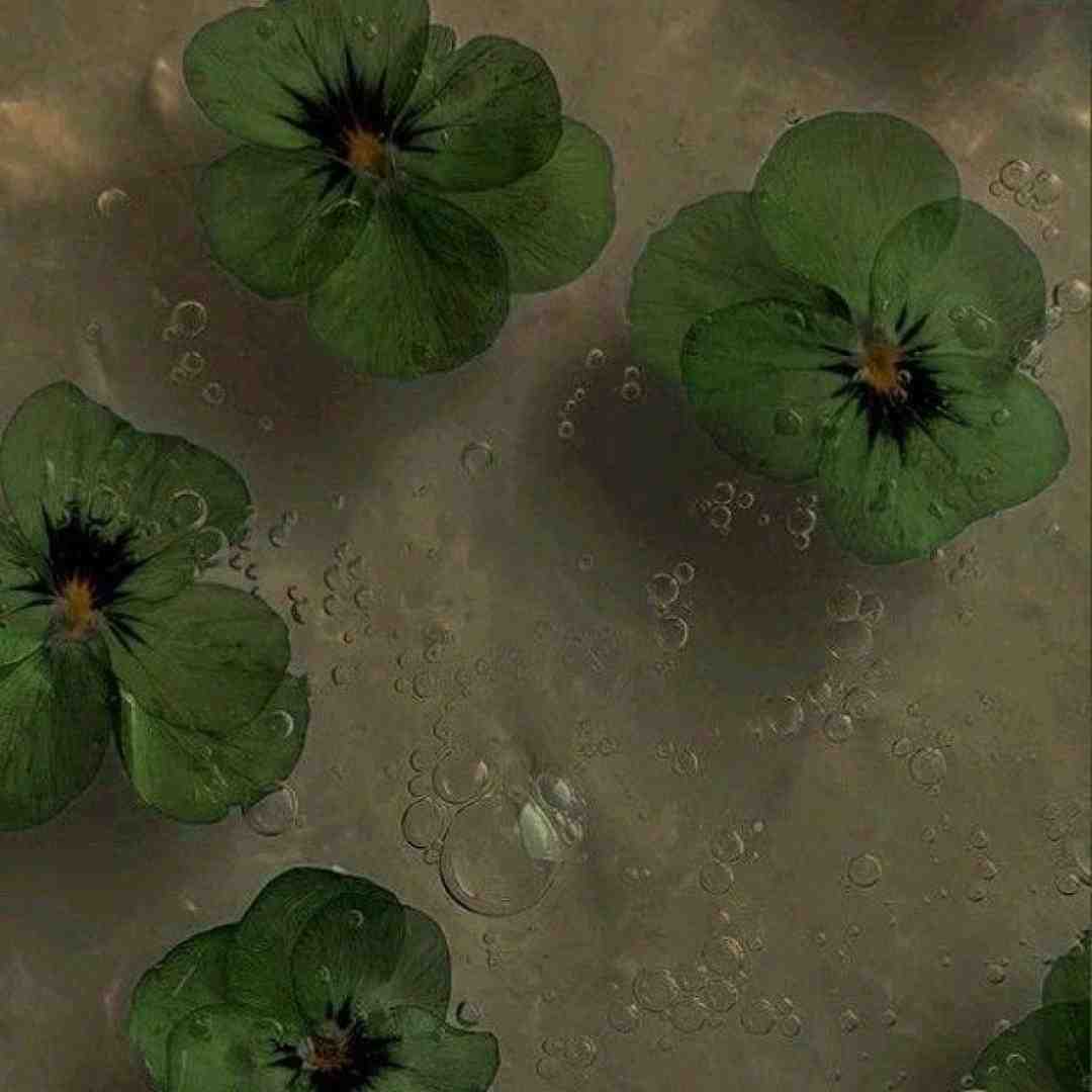 موهاشو بازم شرابی کرد که منو خمارم بکنه (ترند اینستایی)