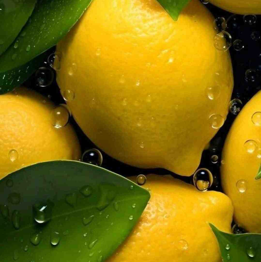  و دورت بگردم مه وا همه جز تو سردم