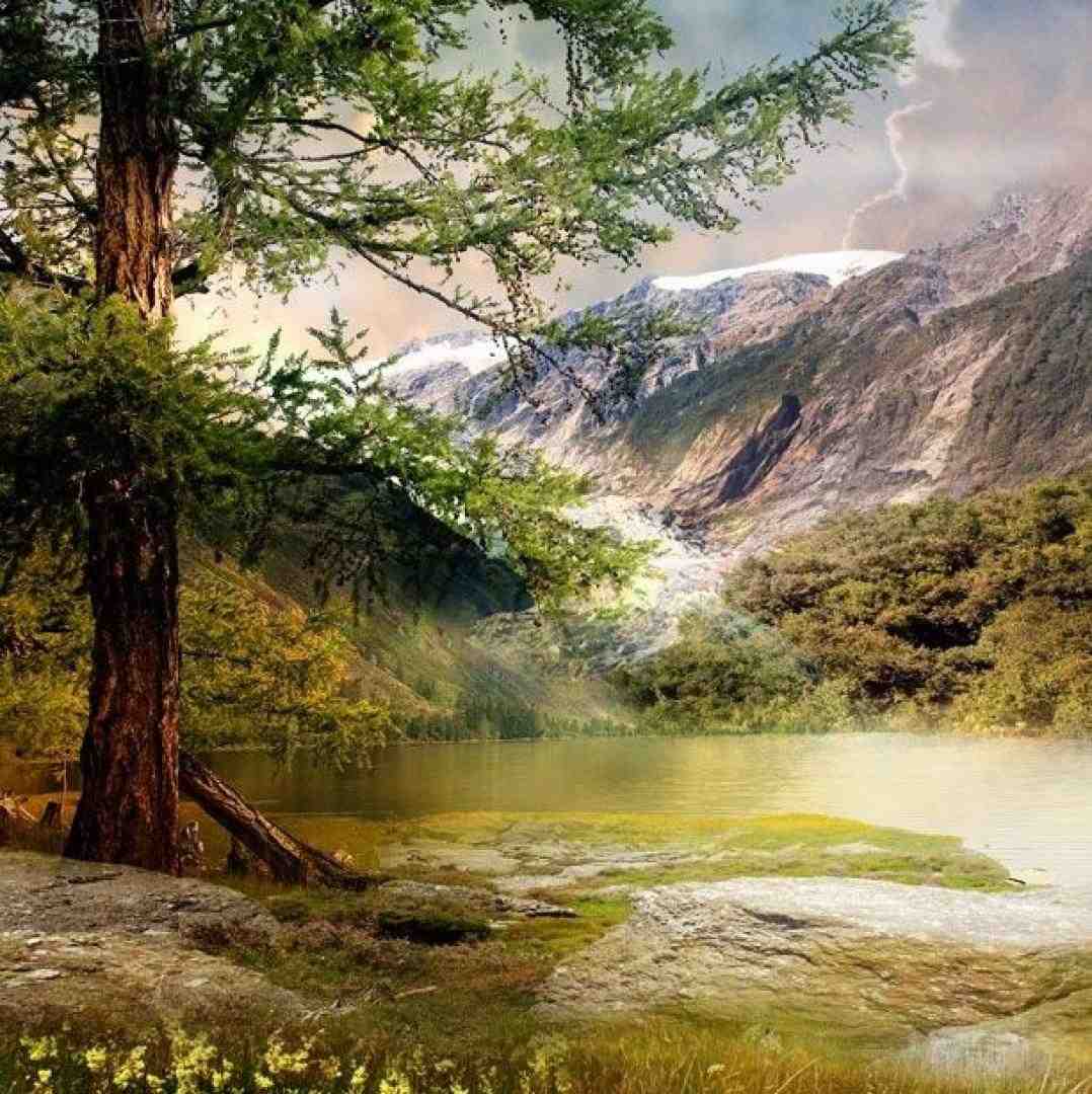  میخوام اوج بگیرم یه روز خوش ببینم گاز بدم سبقت