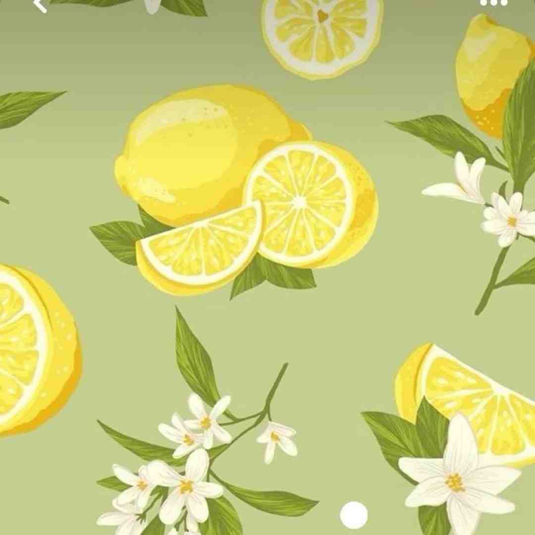  بیا بریم با هم شمشک توی جاده بریم بالا تا خشتک اگر گرفتنمون
