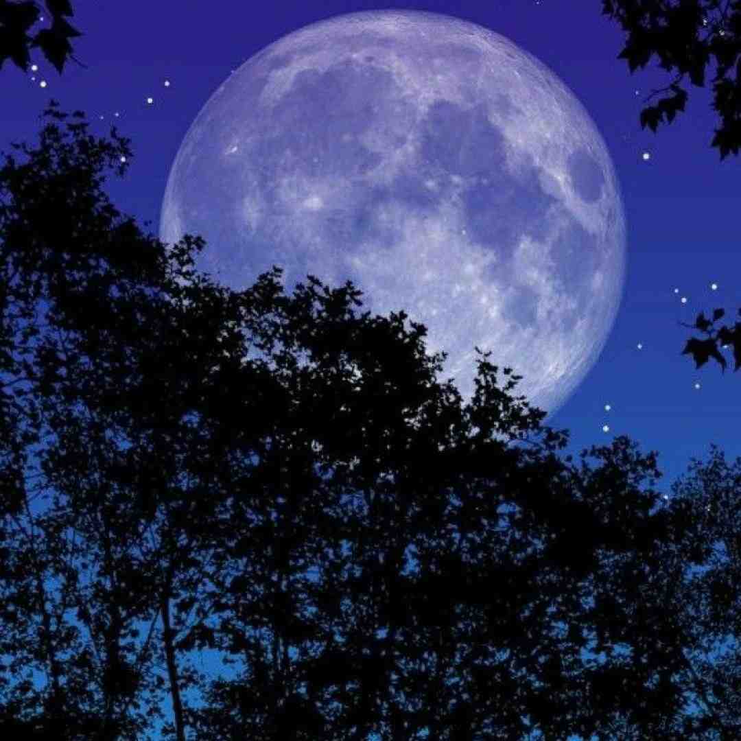  دیشب من بودم و ملی طلا ابرام غزل خون رفتیم