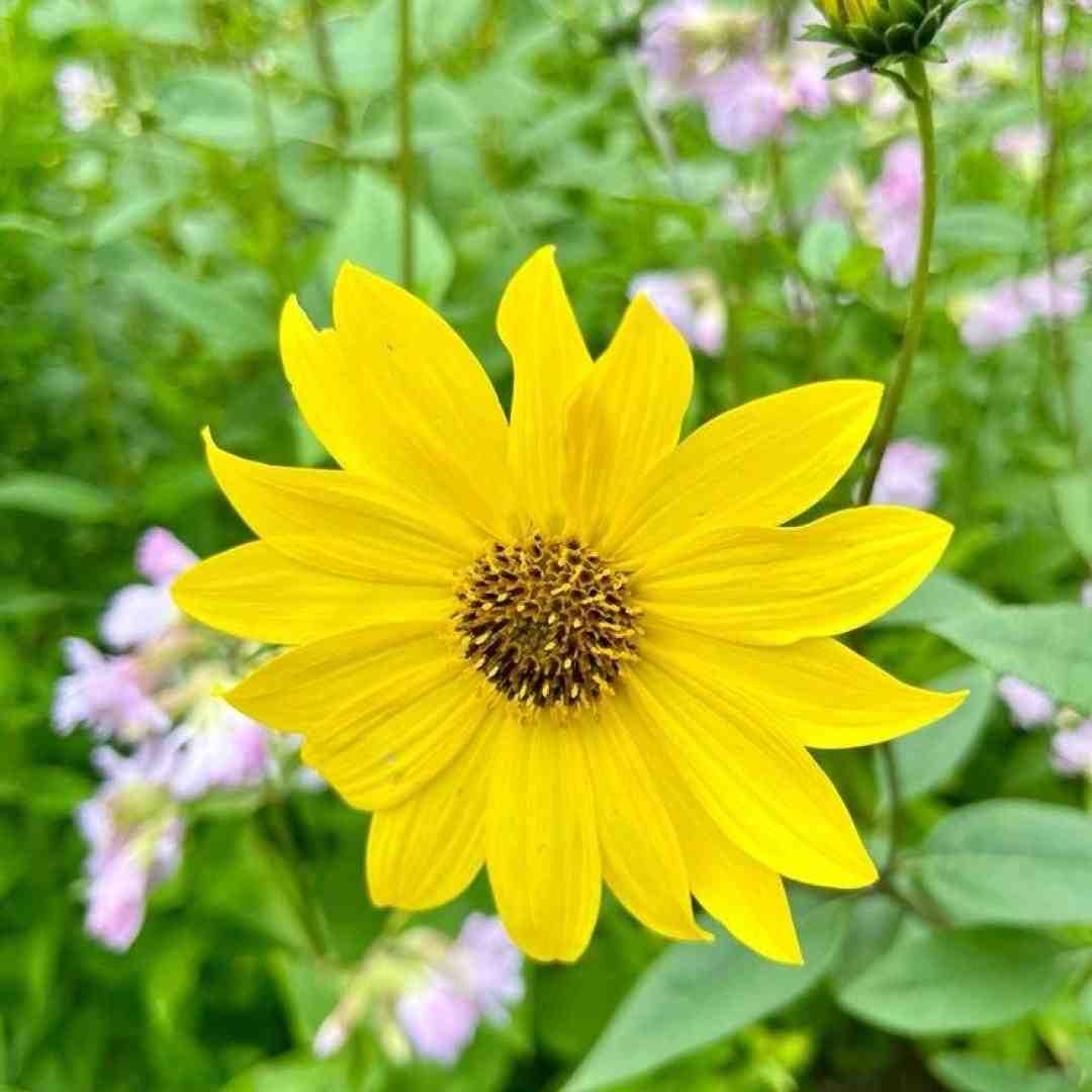  من زورم رسید به جای خالیت جات خالیه (ترکیب مهیار و اصف آریا)