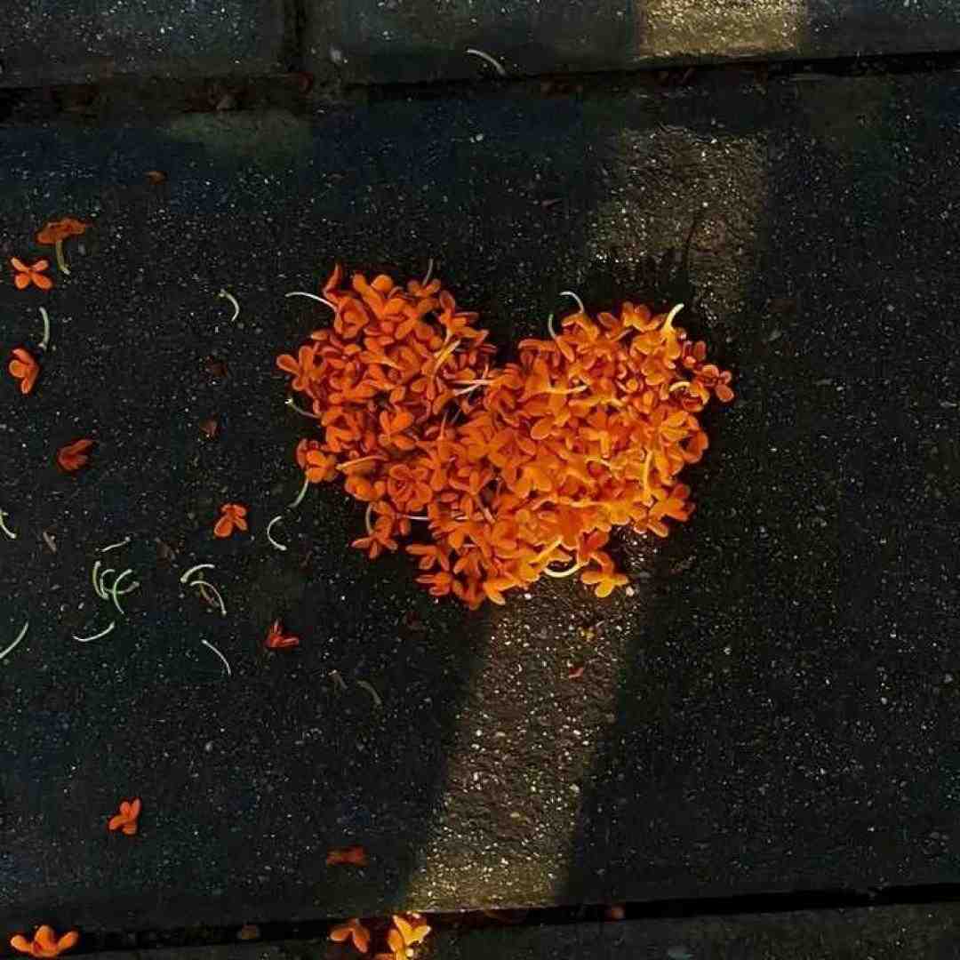  عجیب غریب داره میشه تازه حسم به دوستام نگم
