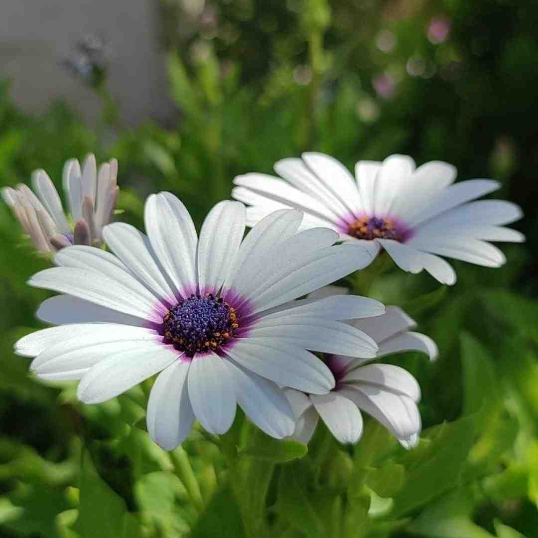  مرده با زندم واسم فرقی نکرد آروم نشدم من الان حتی