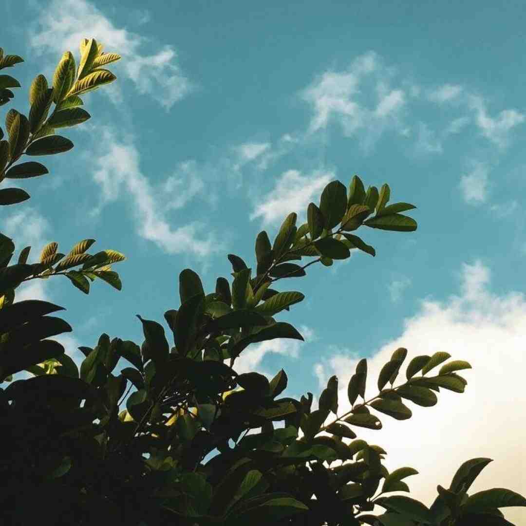  تو نمیدونی عزیزم حال روزگار ما رو توی ذهن آینه بشمار