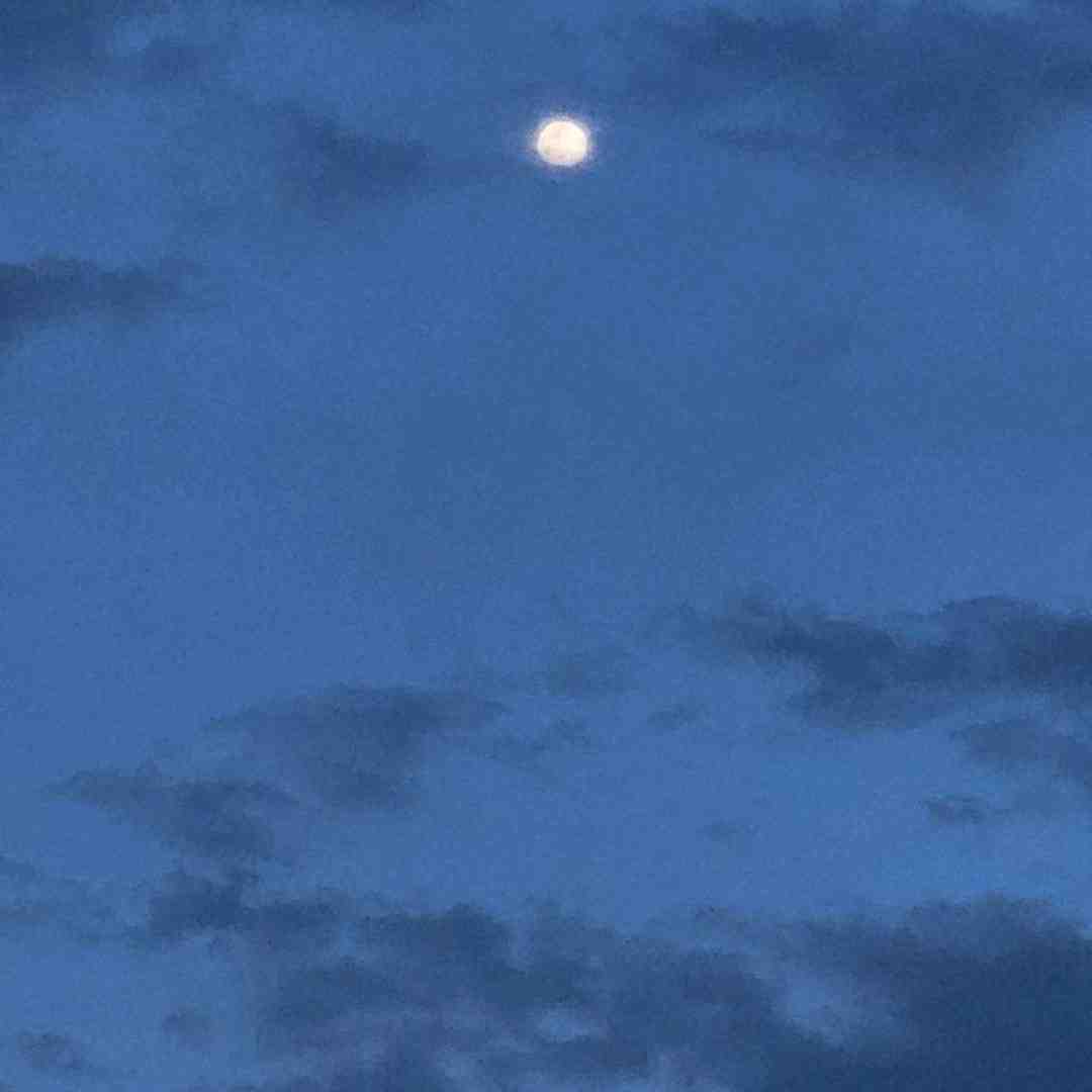 دلم آرزو هامو میخواد دلم میخواد دیگه بس کنم