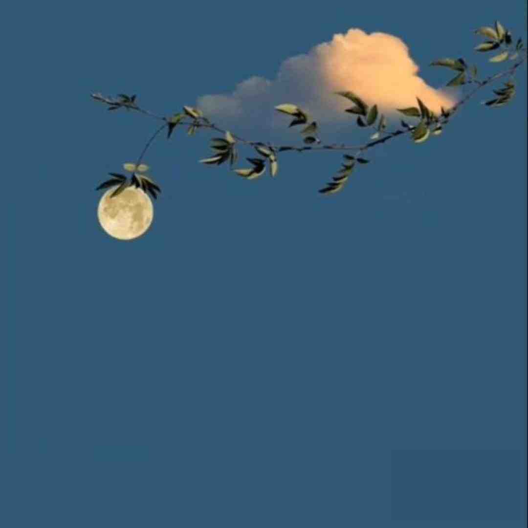  اگه کنار تو خوشحاله کوفتش بشه اون الهی که عاشق دوستت