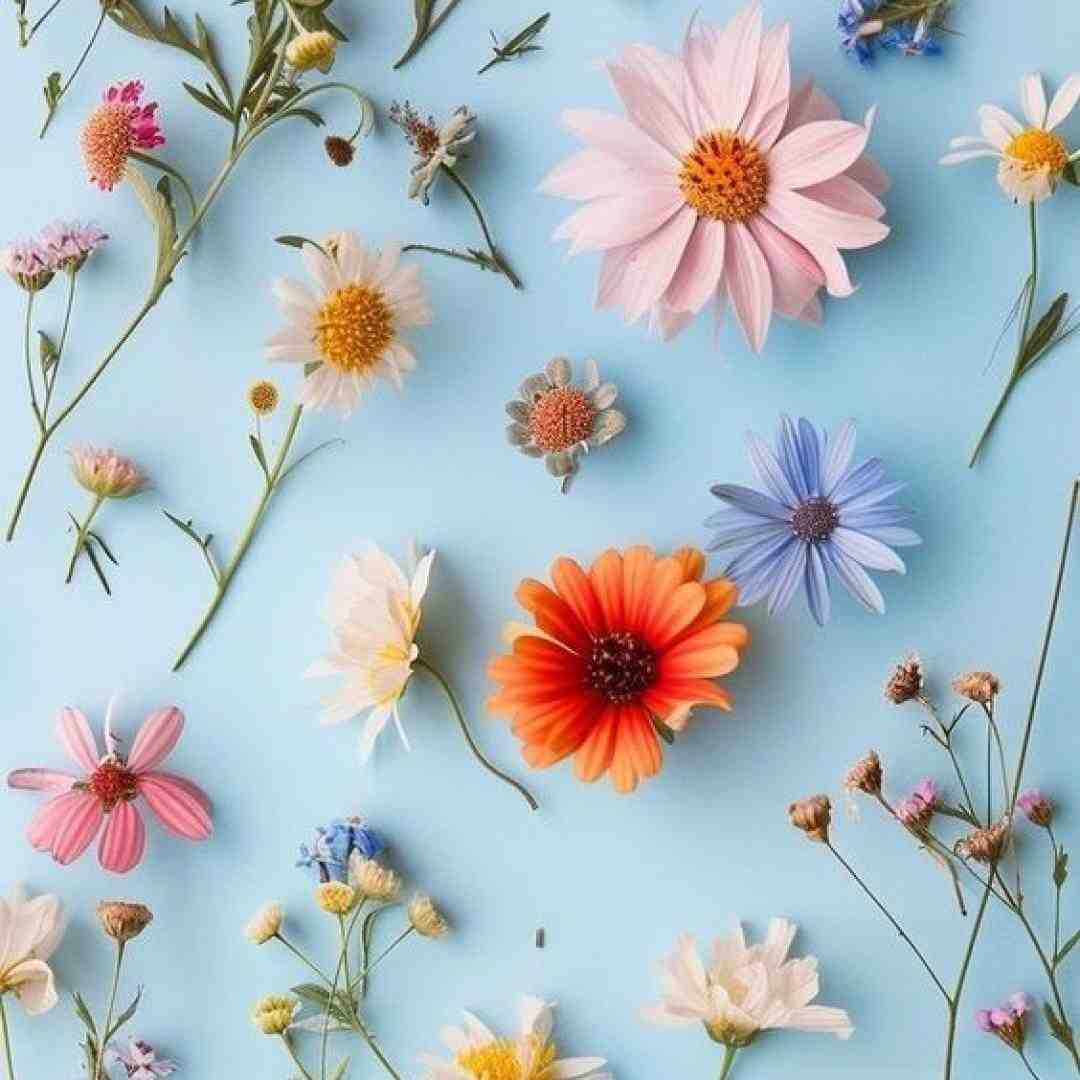 زندگی جوکه میگه وحشی باش سویج موده استایل هامون