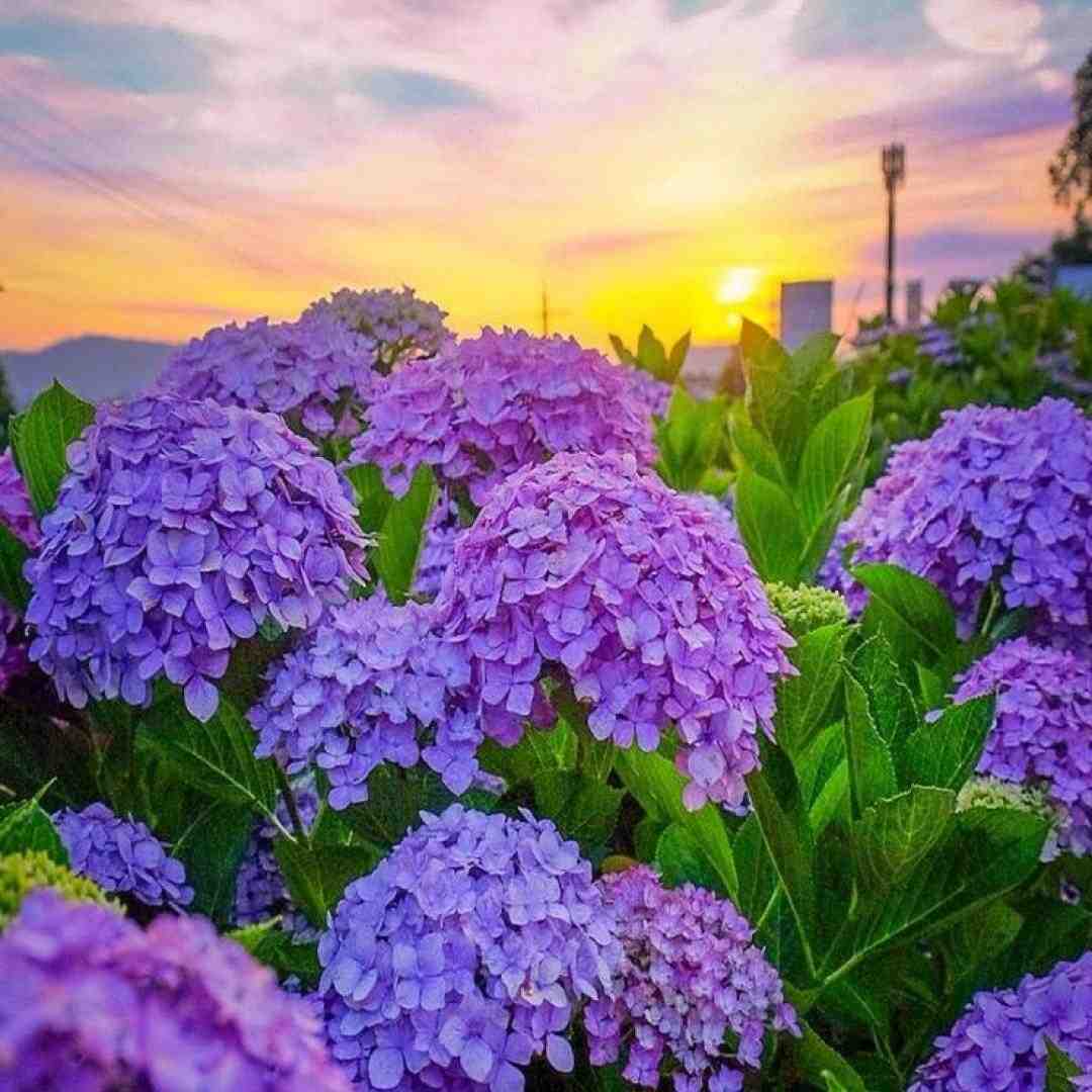  لب ساحل اگه تو بمونی میمونیم ما