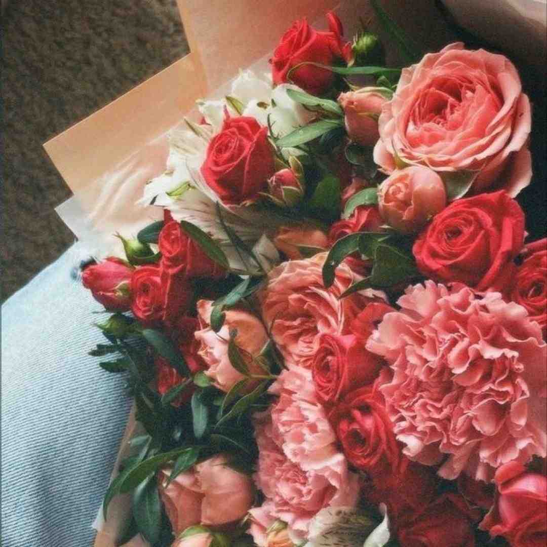 گفتم میرم برنمیگردم گفتم بلدم از شب نمیترسم