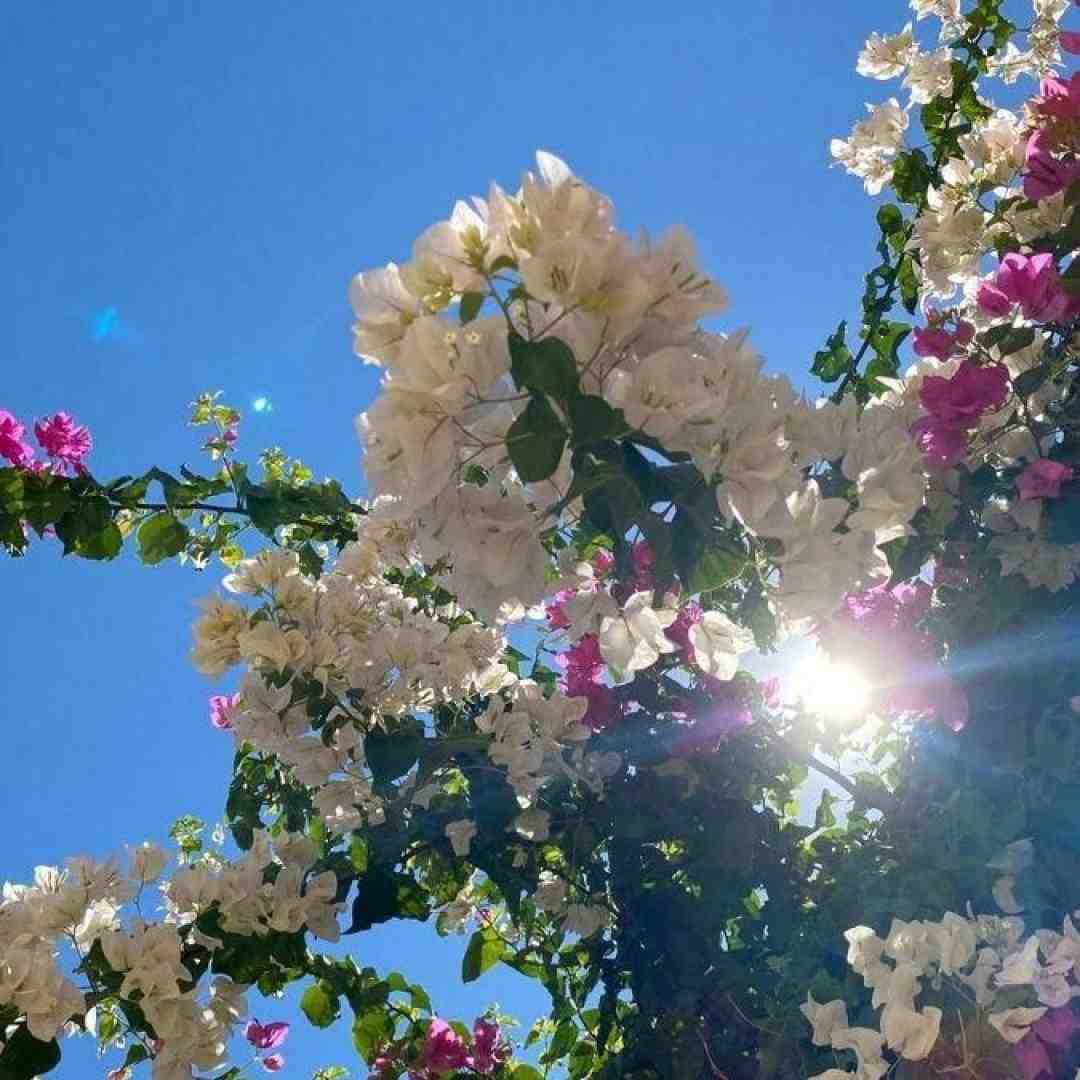  وقتی تو نیستی قلبمو واسه کی تکرار بکنم