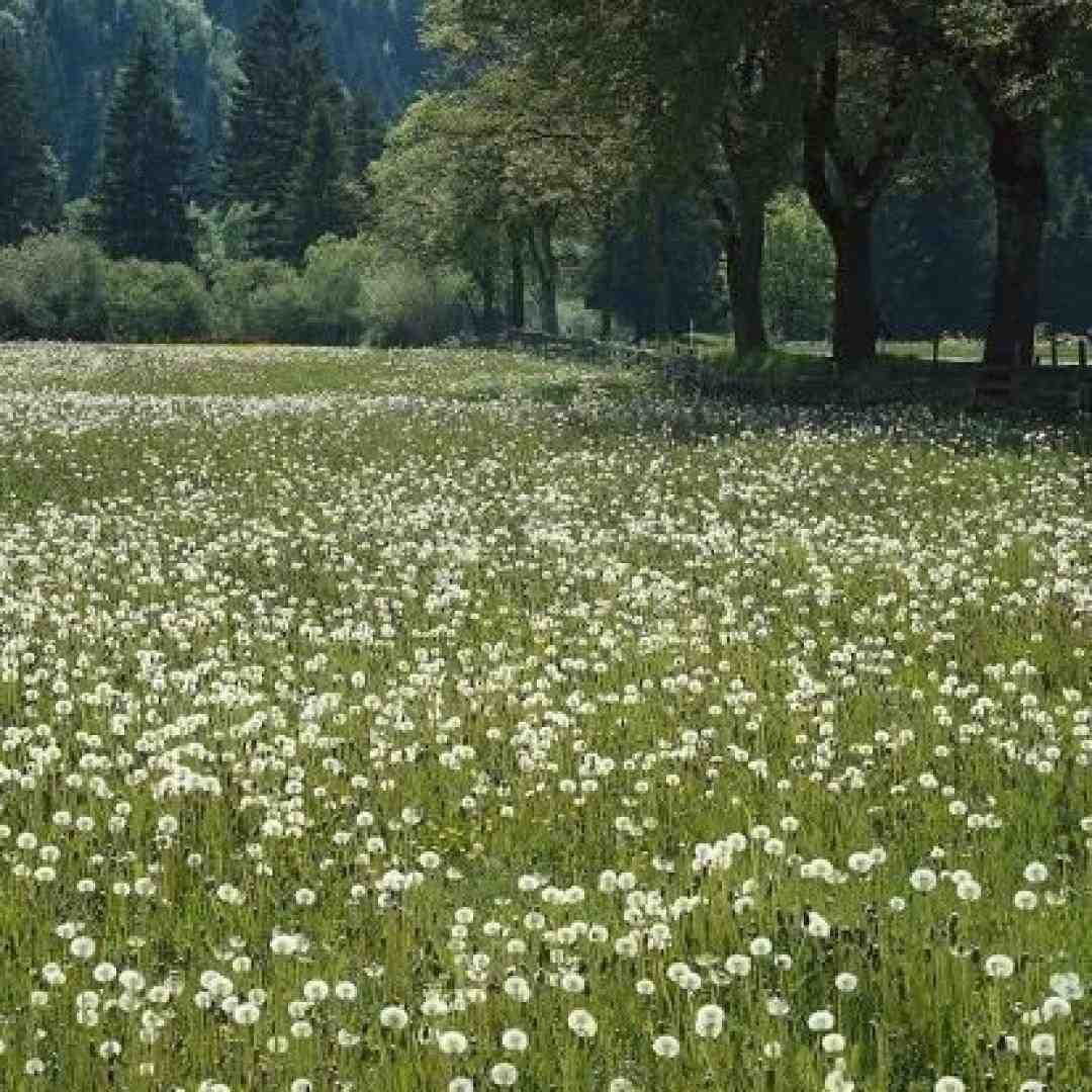 اونی که عاشقی رو یاده من داده داره میره با صدای دختر