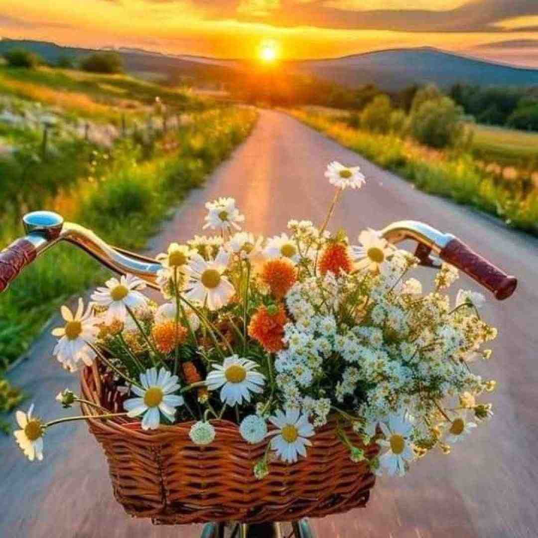  به جهنم که شکست بغض من از فکر تو هر شب